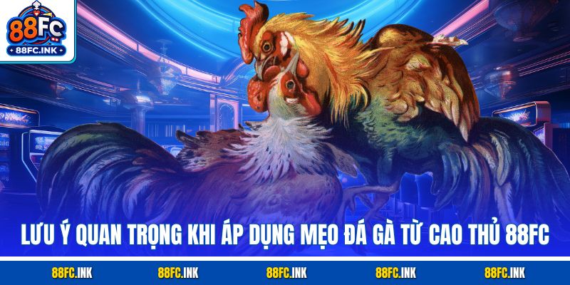 Lưu ý quan trọng khi áp dụng mẹo đá gà từ cao thủ 88FC