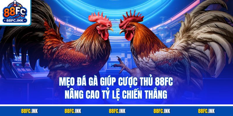 Mẹo Đá Gà Giúp Cược Thủ 88FC Nâng Cao Tỷ Lệ Chiến Thắng