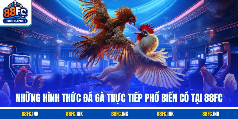 Những hình thức đá gà trực tiếp phổ biến có tại 88FC